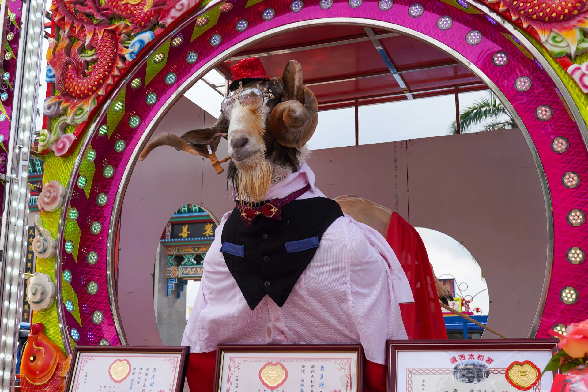 義民祭神羊吸引大批民眾圍觀。李宥妍攝