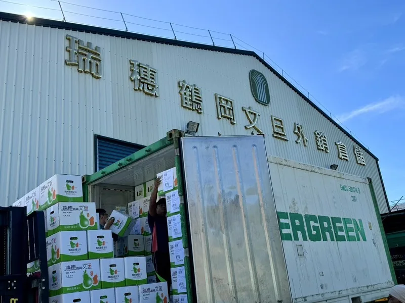 花蓮瑞穗鄉文旦柚外銷國外市場10逾年，今年擴及新加坡市場，12日正式封櫃，以「單粒包裝」方式外銷。瑞穗鄉農會提供