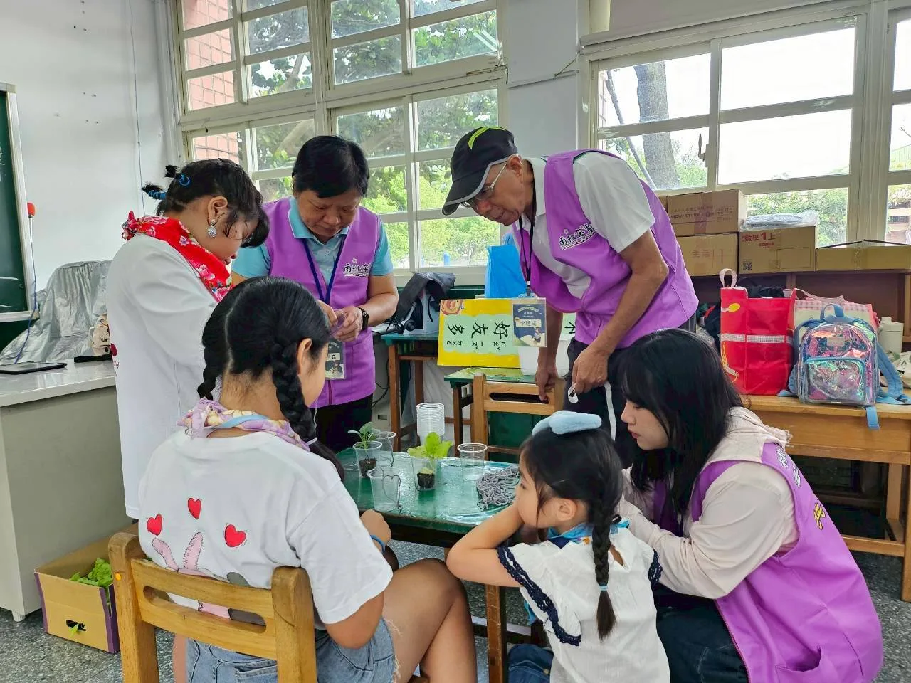 客家菜苗體驗。張博舜攝