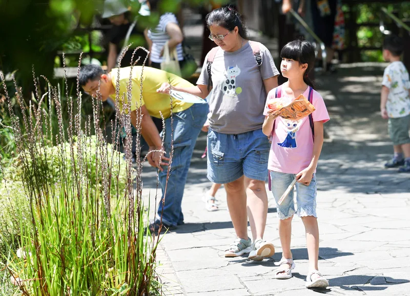 氣象署今天發布8縣市高溫資訊，其中大台北防攝氏38度以上高溫。圖為民眾漫步在關渡自然公園。中央社