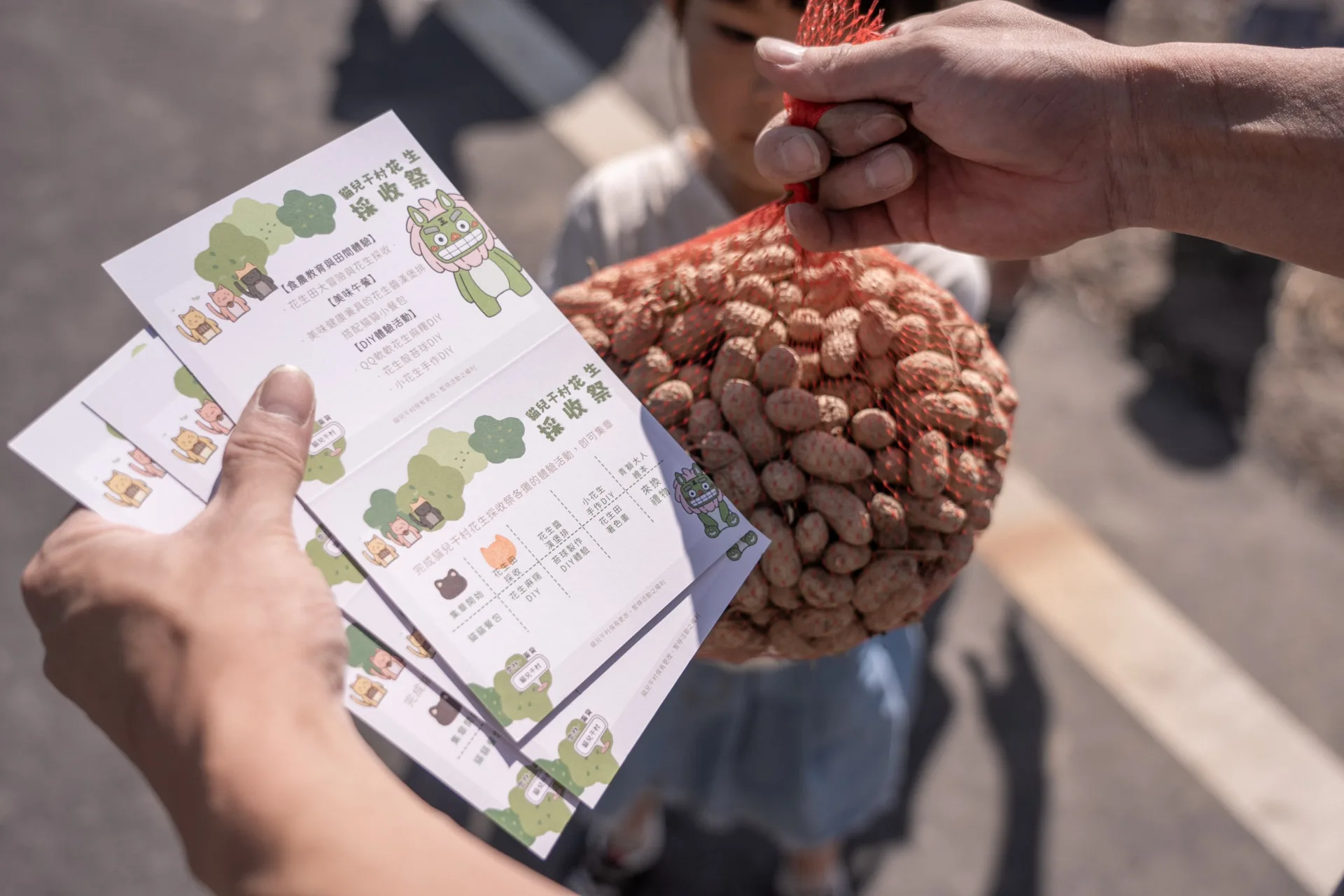 由於阿公種過花生，顏惟親想「那不然就種花生拿去賣吧」。圖為貓兒干村花生採收季。顏惟親提供