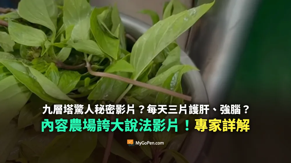 【錯誤】九層塔驚人秘密？每天三片護肝、強腦等功效？內容農場誇大AI影片！專家詳解
