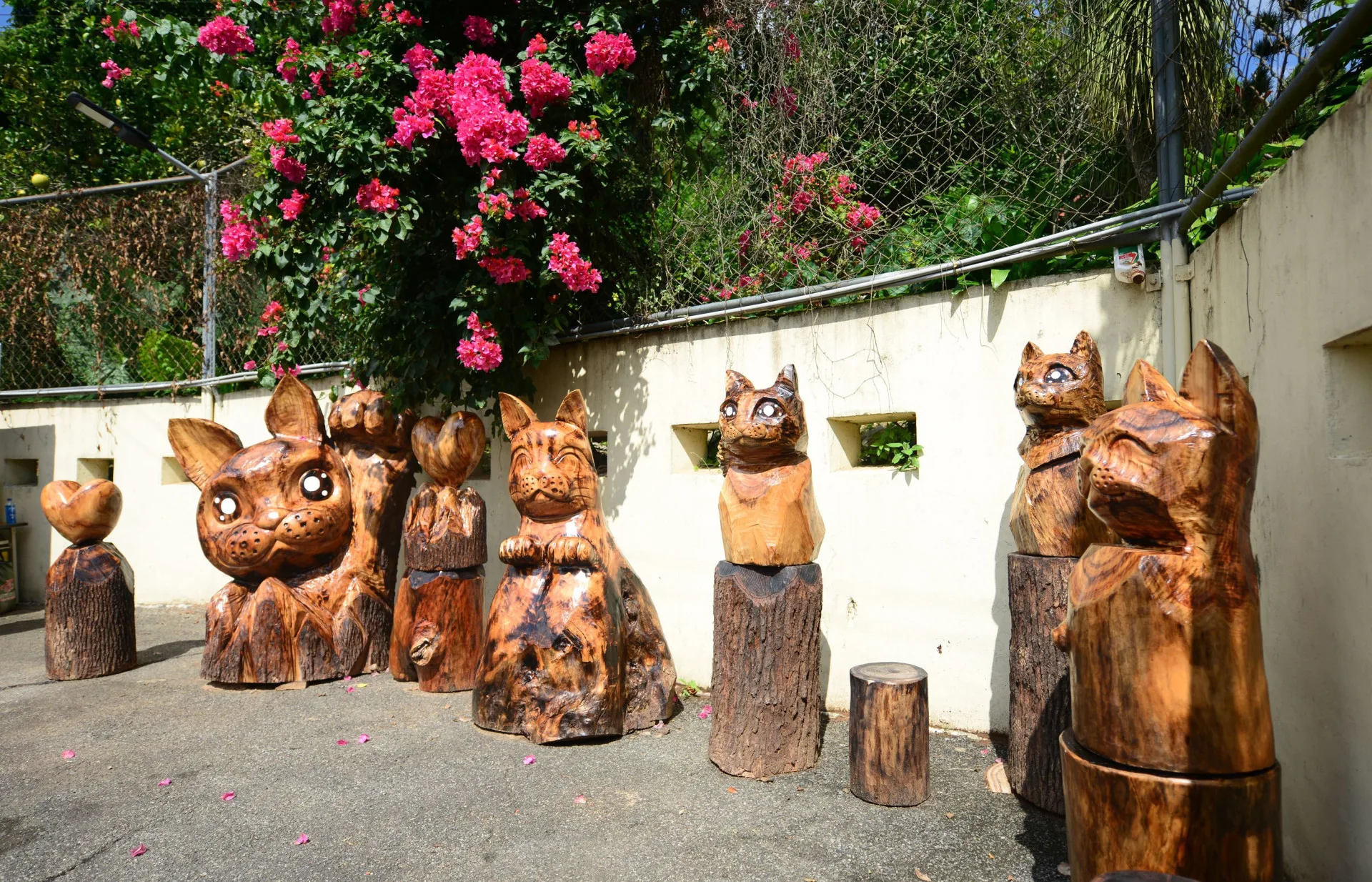 三義木雕師傅童富祥雕刻的可愛貓咪和石虎。苗栗縣政府提供