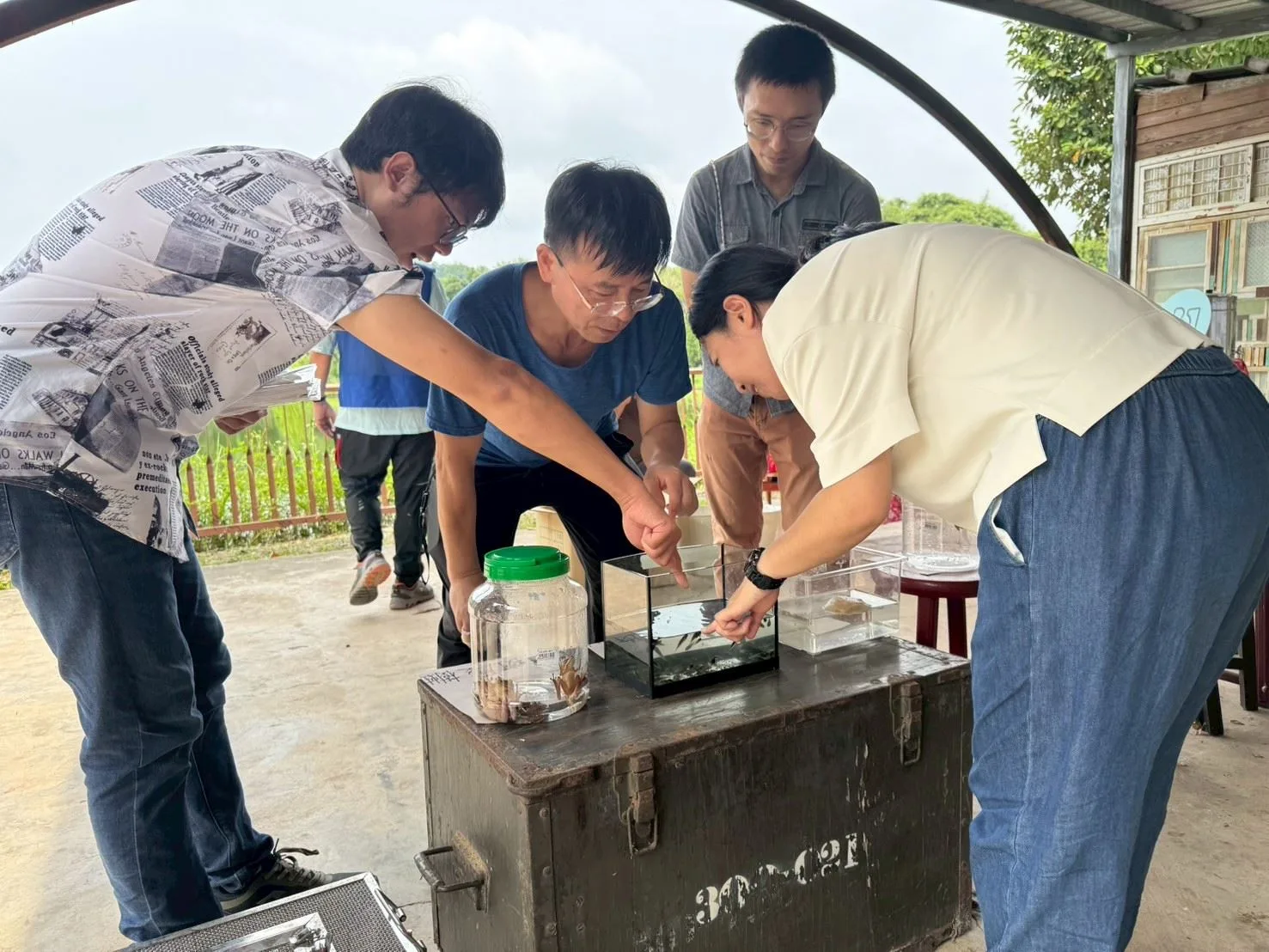 峨眉無負擔農場農田龜類保育研習。