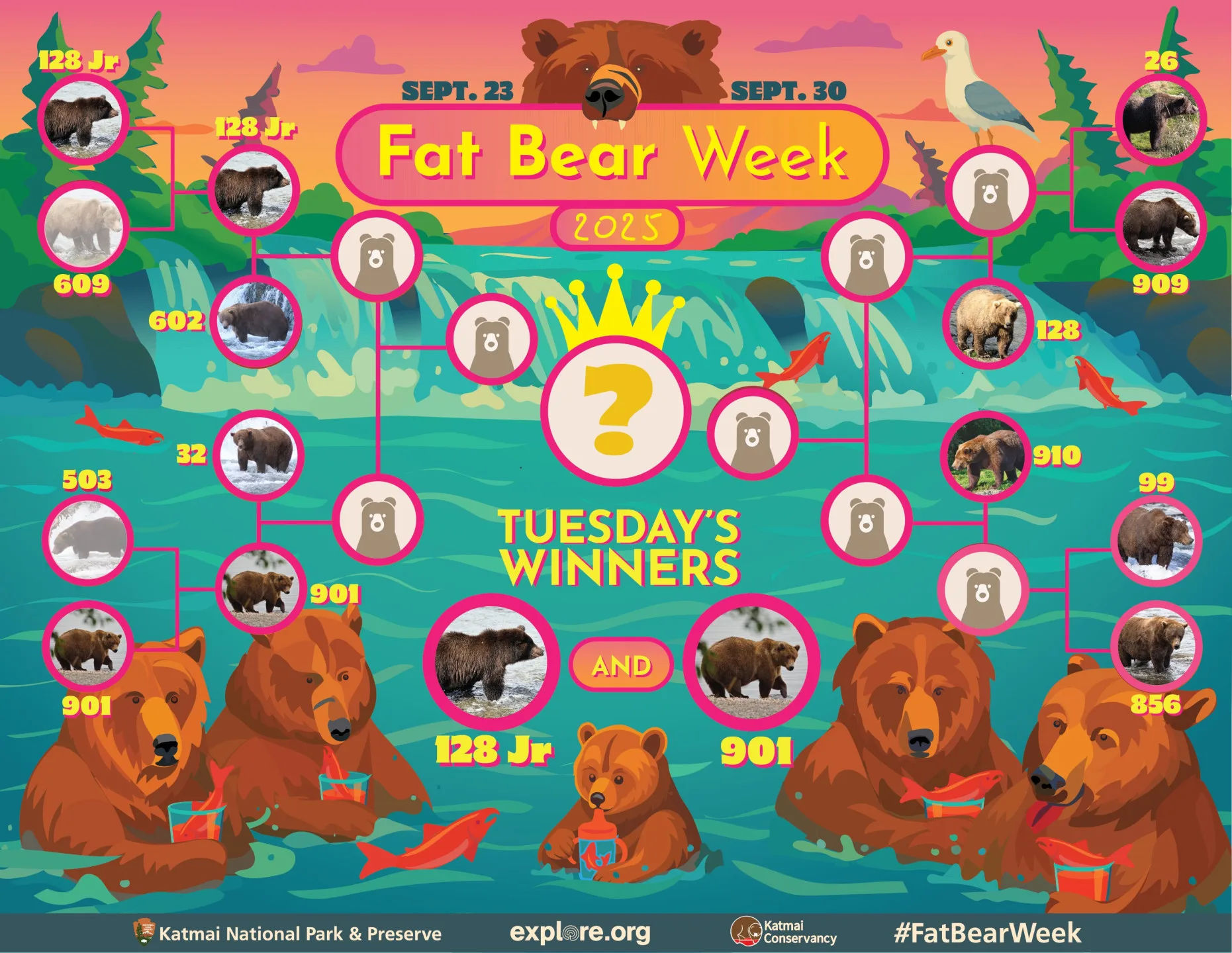 阿拉斯加「胖熊週」線上投票開跑，當地棕熊爭奪「最胖熊王」頭銜。翻攝自x@exploreorg