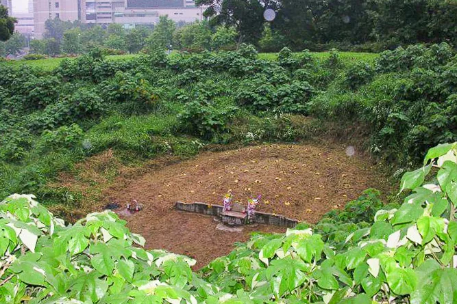 古墓後人盧柏邨年年在清明節這一天，遠從宜蘭帶著家人到交大校園掃墓。陳權欣攝