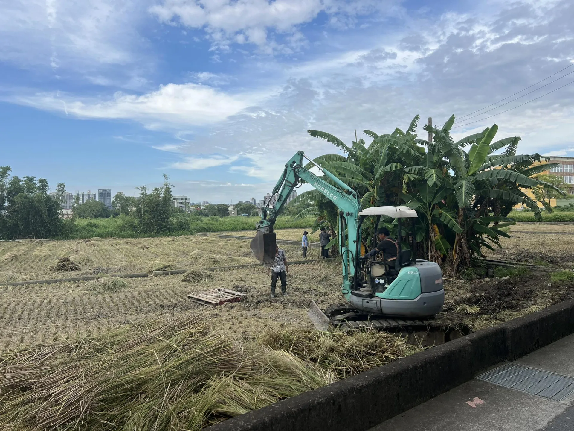 汞米。翻攝竹市議員曾資程FB