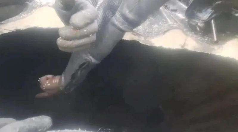 屏東縣搜救人員切開鐵皮屋頂時,聽到6歲女童小沂回應「我在這裡」,搜救人員都很振奮。翻攝畫面