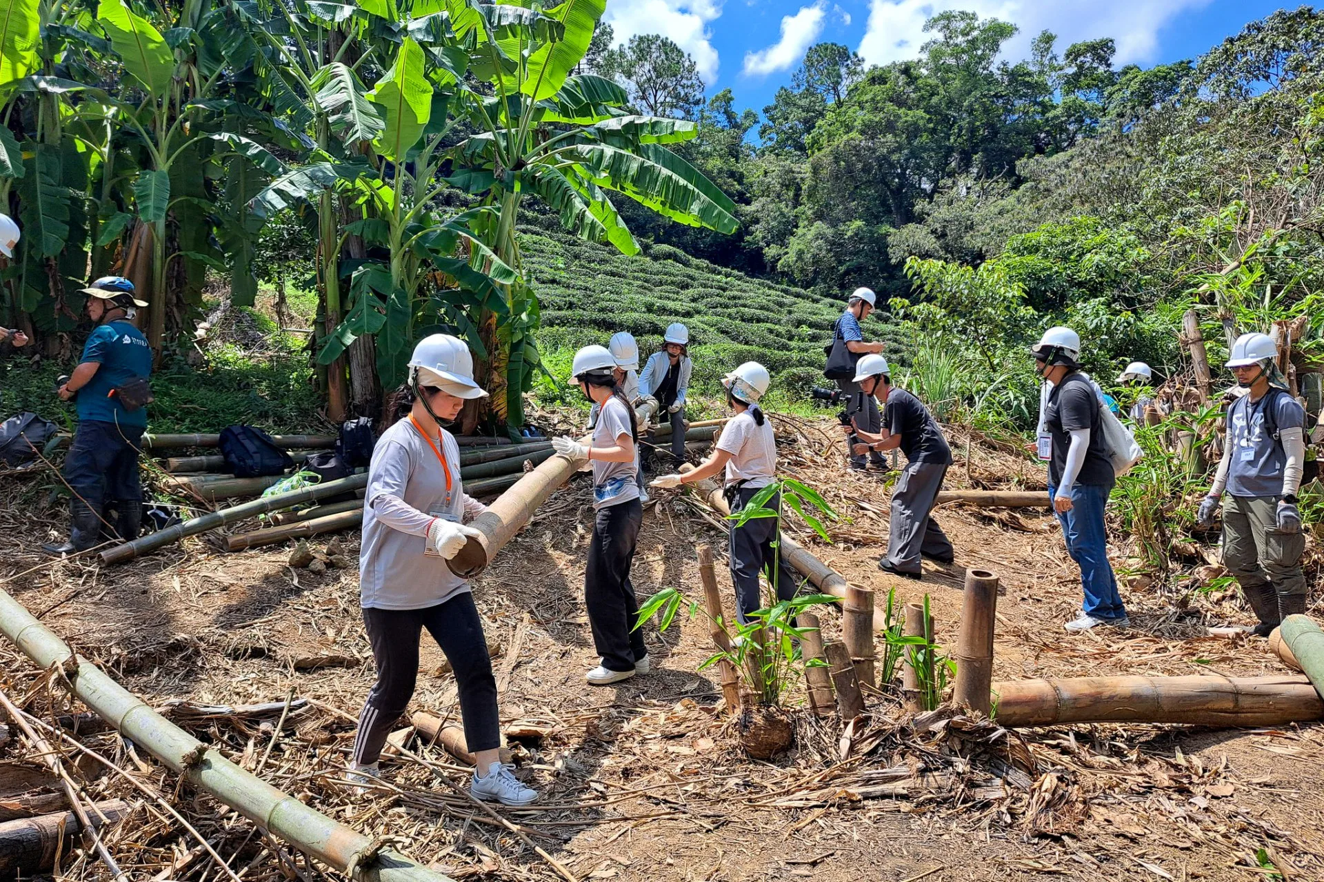 「海內外客家後生交流營」農事課程。蕭宥提供