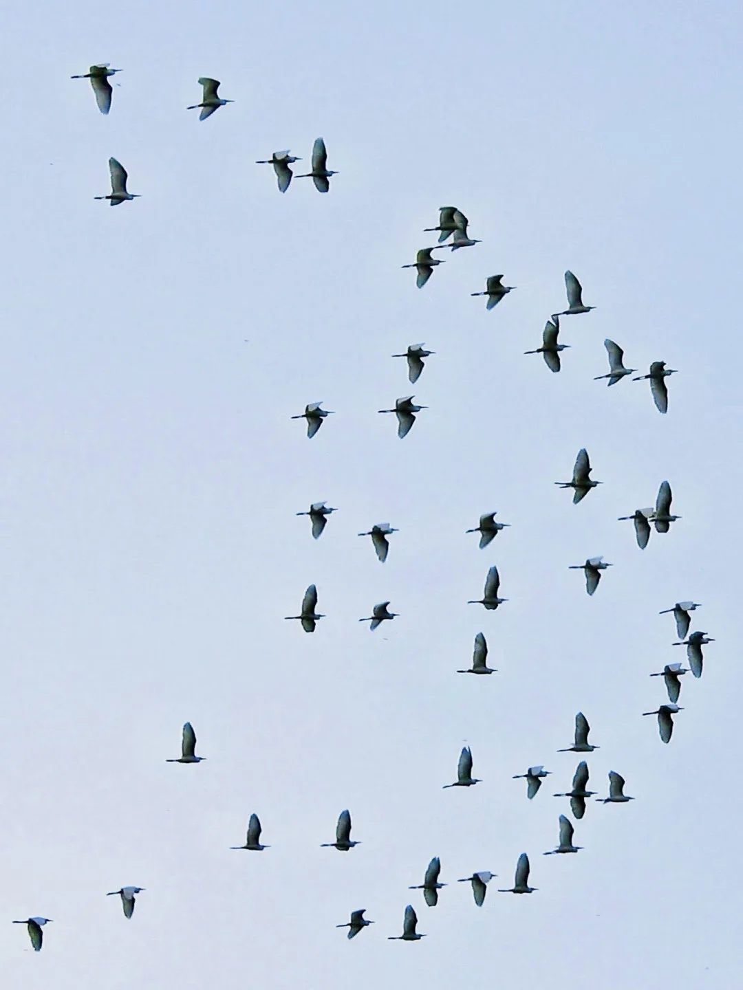 翻攝FB嘉義之美粉絲團，鄧添貴攝