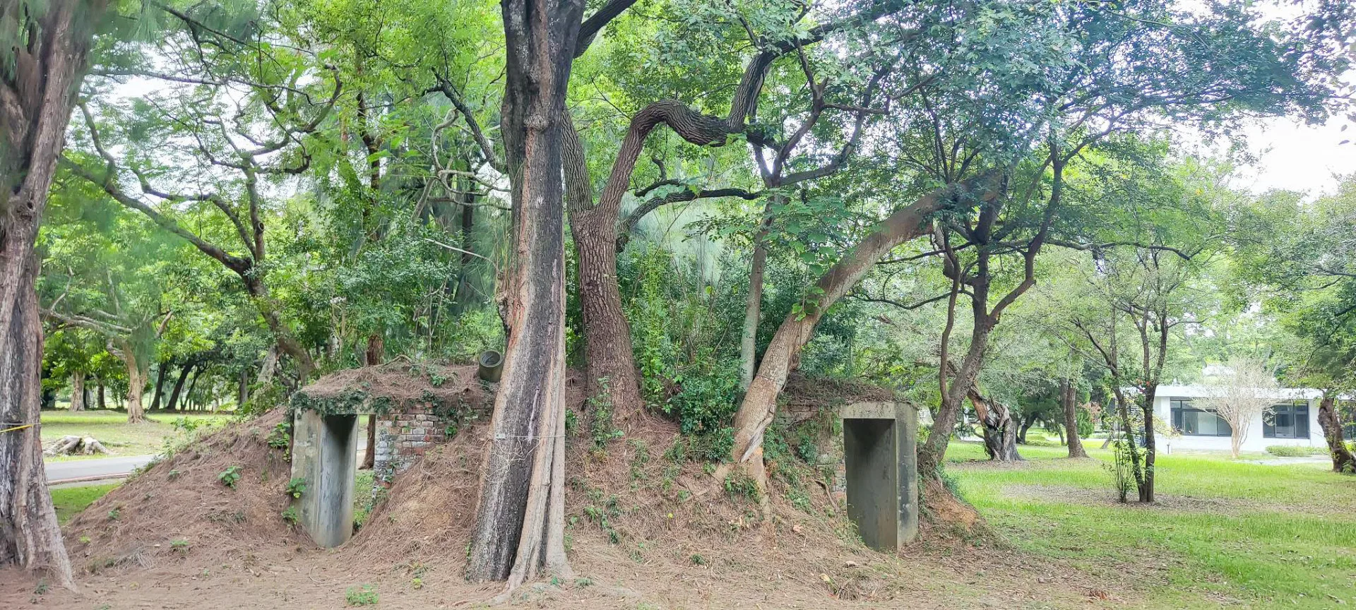 被列為工研院招待所的林昭亮倆人老家週邊，擁有造形各異的六個古老防空洞。陳權欣攝