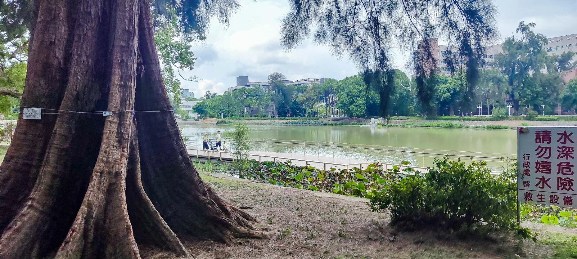 林昭亮與吳振偉的工研院老家，距離清大成功湖不到一百公尺。陳權欣攝