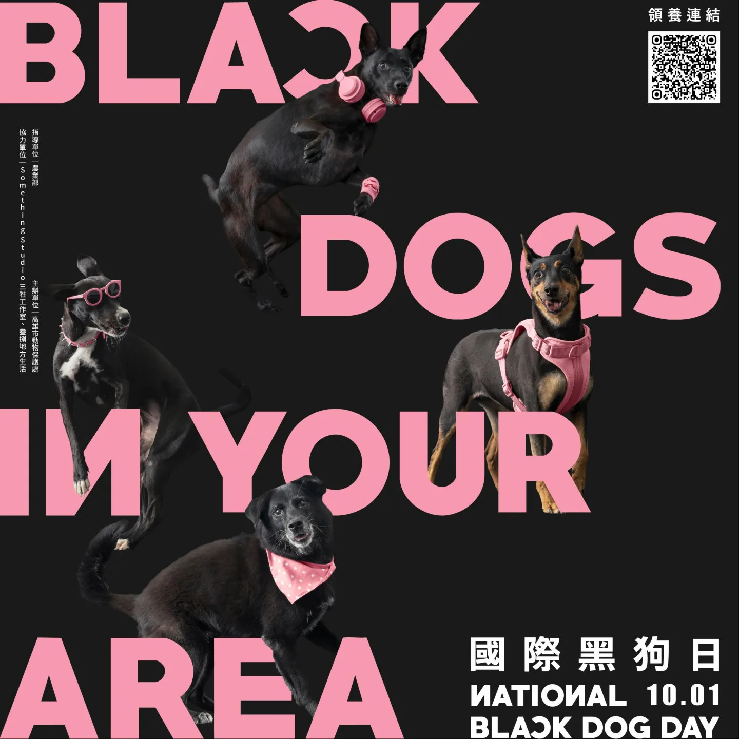 高雄市動物保護處推出「BlackDog」主題形象海報，讓更多人認識到黑狗的魅力。高雄動保處提供