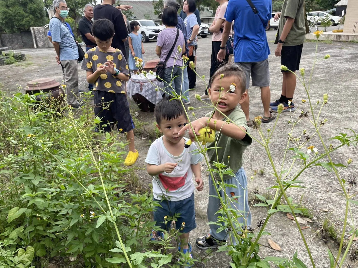 大人參觀醬油，小朋友隨手玩野草，媽媽順勢告訴孩子這是「蝦公夾」。鄧采妍提供