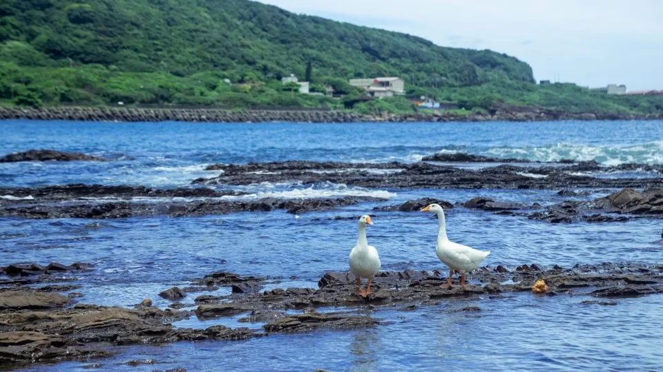 卯澳前有大海，後有山巒，三條溪流匯集於此後入海，若從高處俯視灣澳，三溪形似「卯」字而得名。東北角及宜蘭海岸國家風景區管理處提供