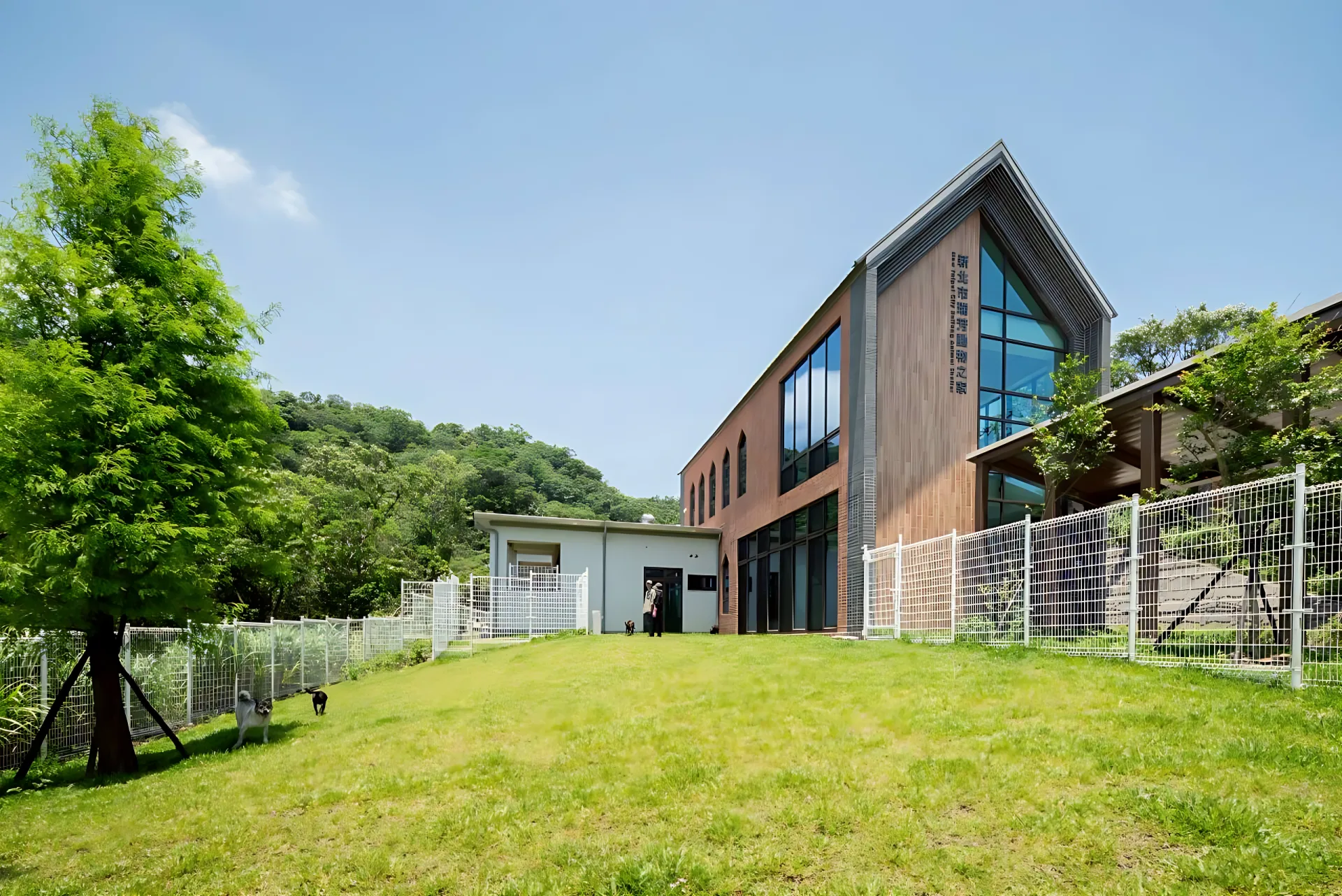 新北市瑞芳動物之家優美舒適的環境。新北動保處提供