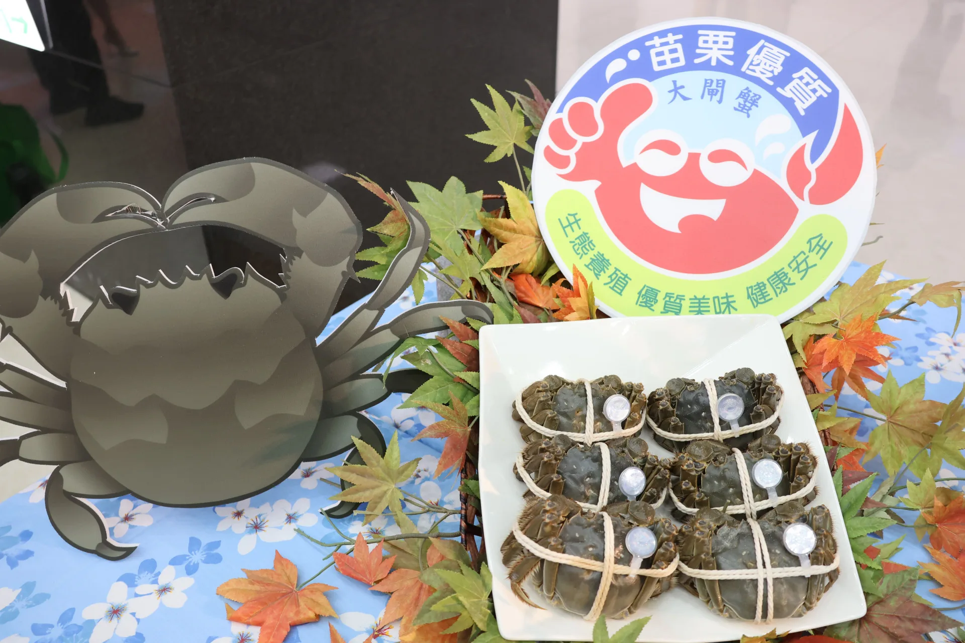 每隻合格大閘蟹設置「產地QR Code雷射防偽蟹環」