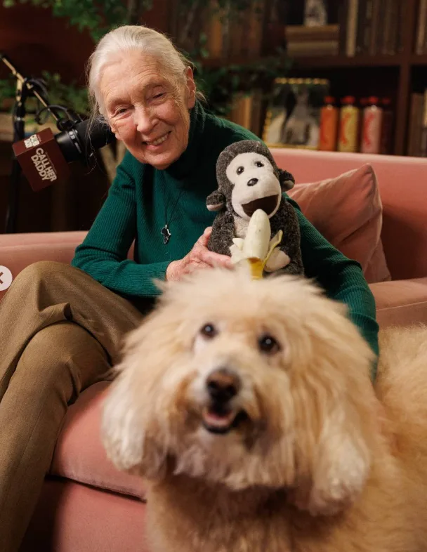 知名保育專家珍古德(Jane Goodall)於睡夢中安詳離世,享壽91歲。翻攝自IG@janegoodallinst