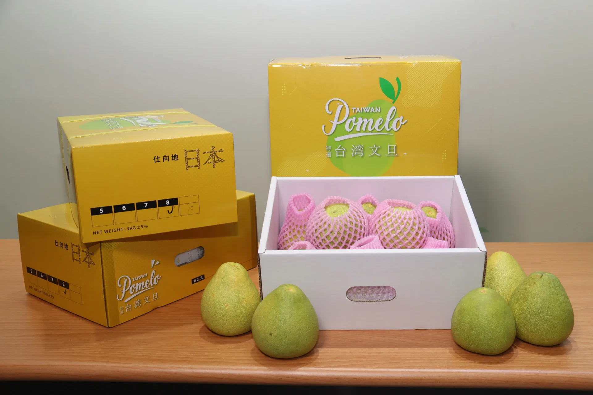 輸日文旦成功打造臺灣優質品牌。農糧署提供