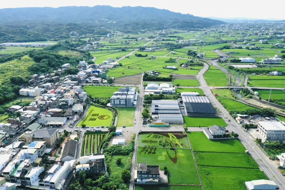 苑裡稻田彩繪超夢幻!媽祖 × 貓裏喵萌翻田間,秋收最潮打卡點。翻攝苑裡鎮農會