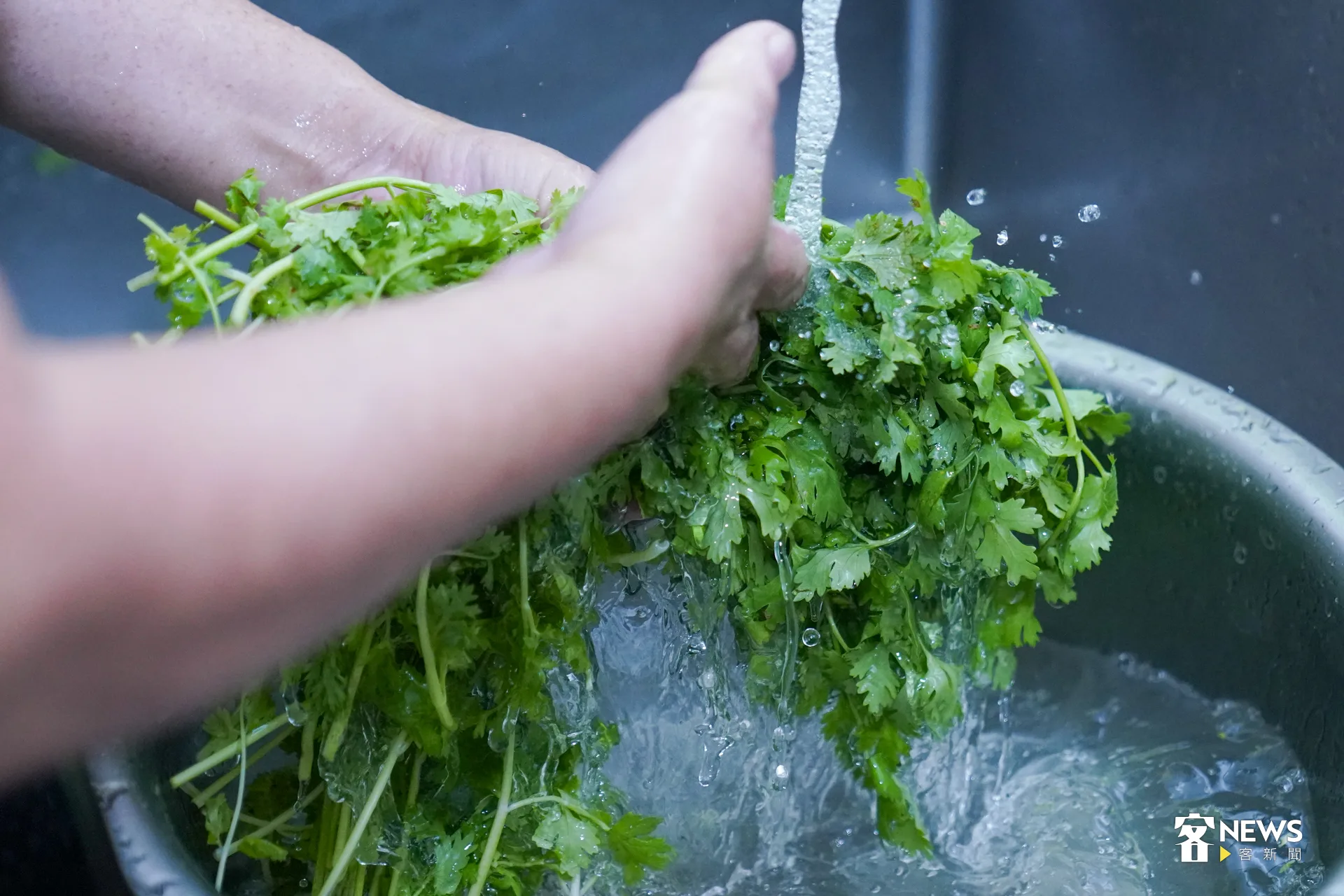 香菜是這道台灣料理不可或缺的一味。洪藝晅攝