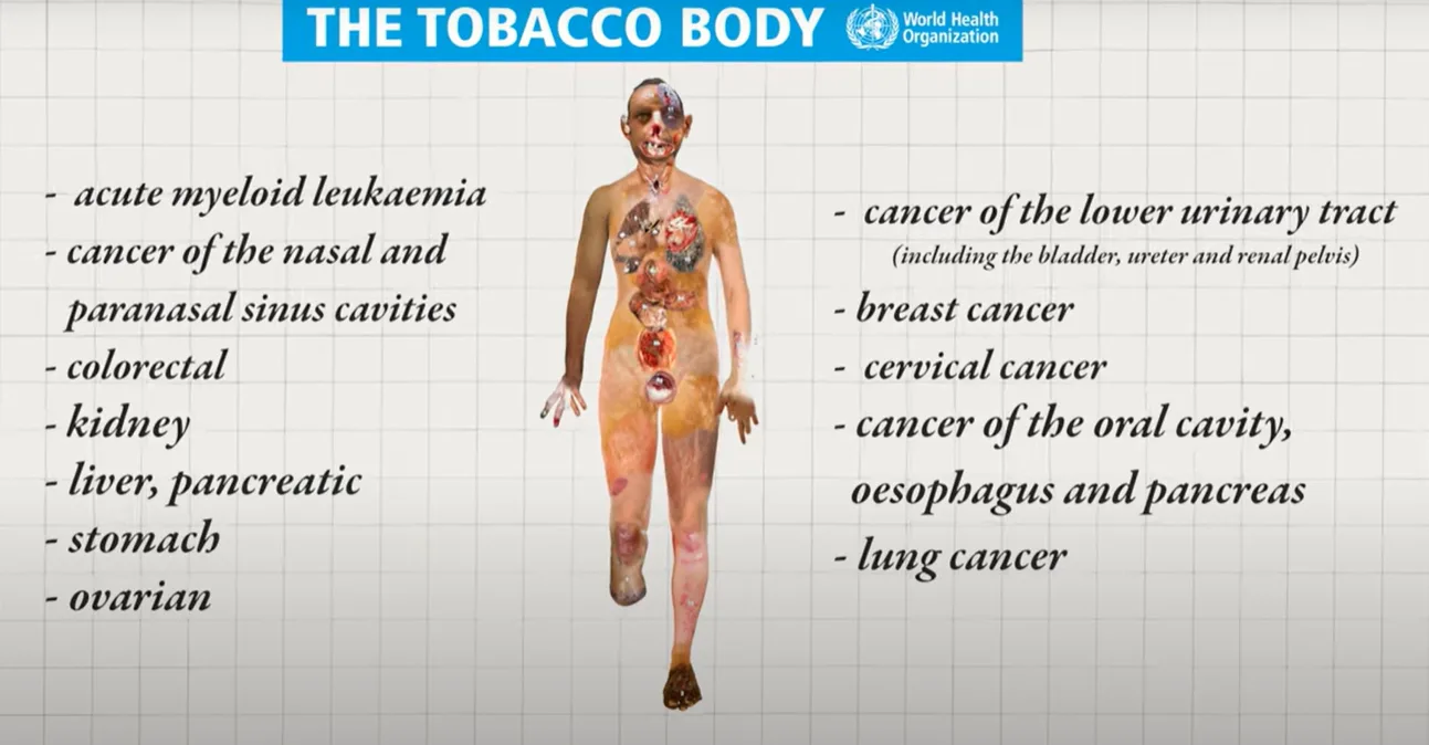 WHO警告　全球逾1500萬青少年抽電子菸