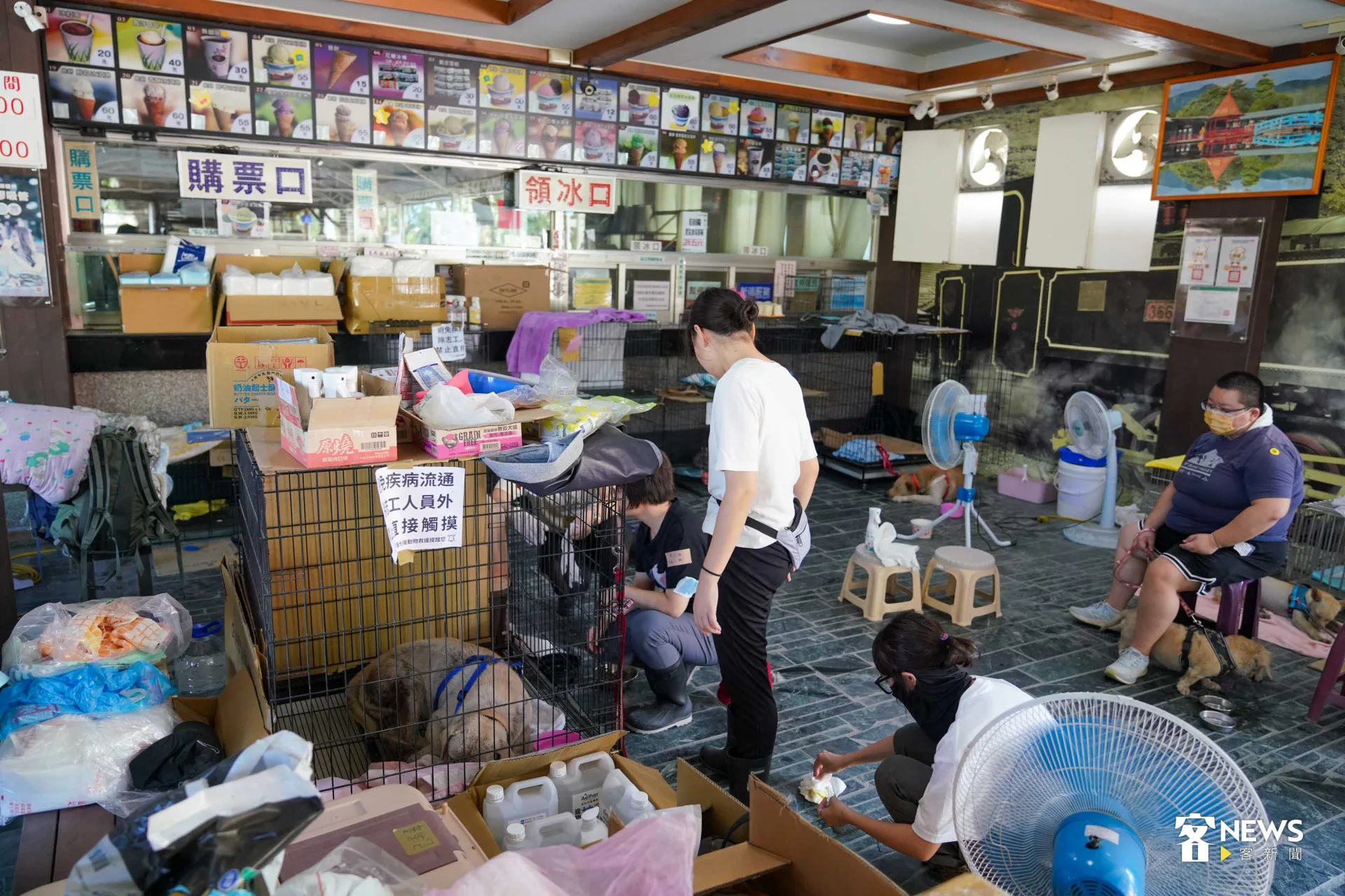 臨時醫護站內候診的犬貓。范修語攝