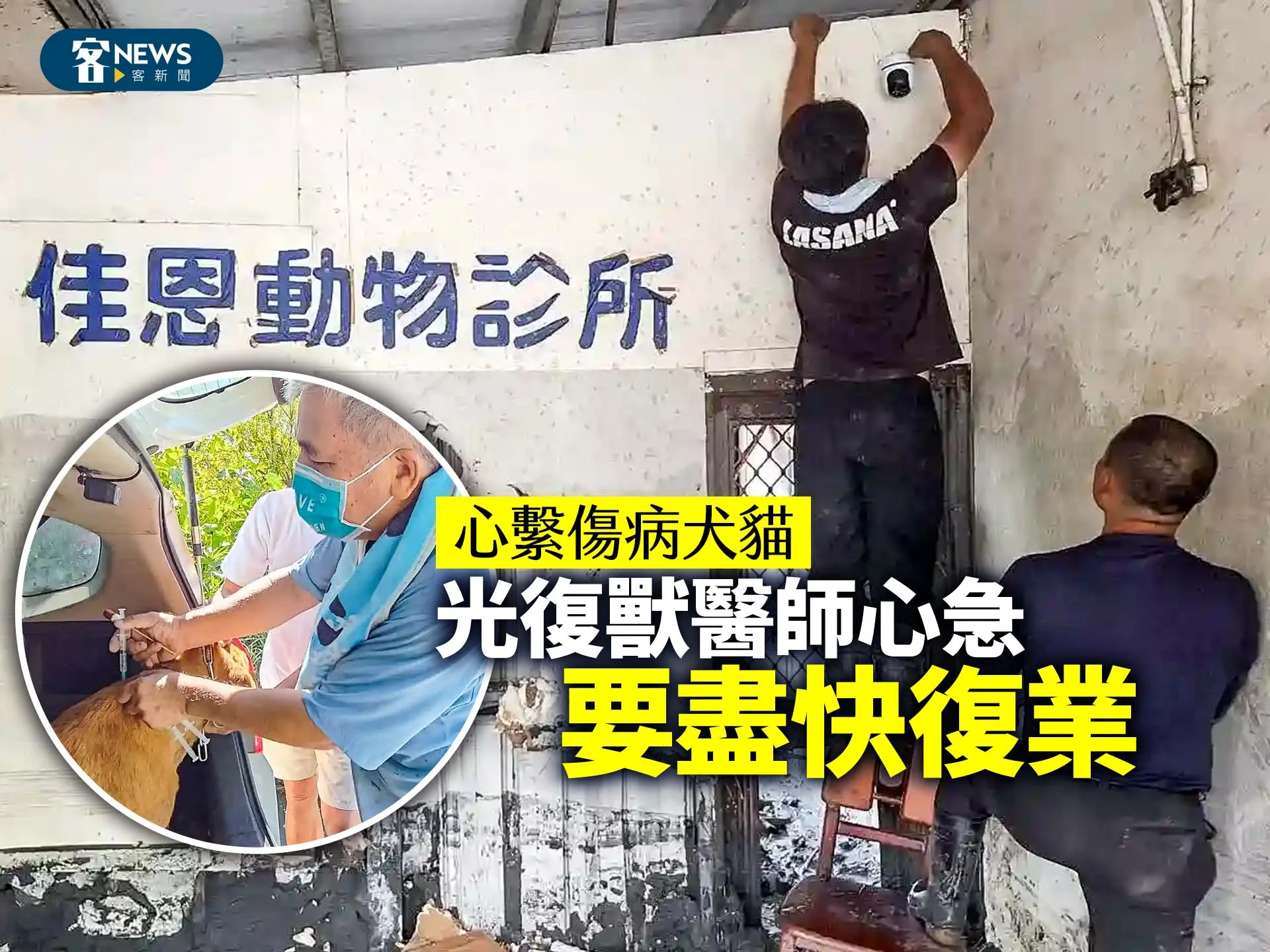 心繫傷病犬貓　光復獸醫師心急要盡快復業