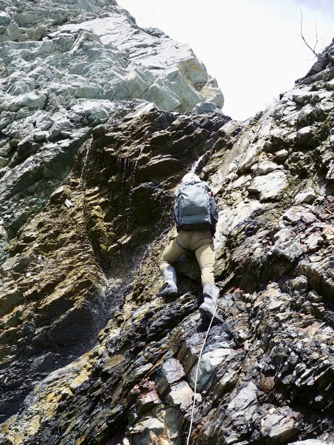 特遣隊回程上攀困難地形。林保署花蓮分署提供