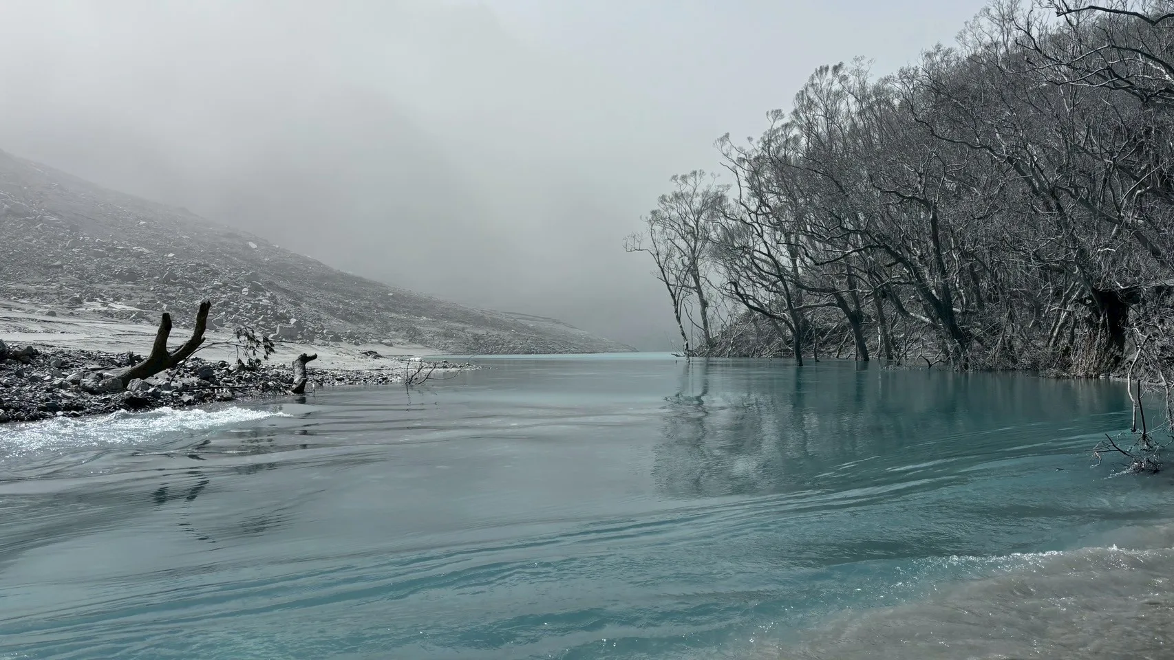 堰塞湖周邊森林植物全數因淹水後灰泥包覆死亡,湖面看似平靜實則水流快速,周圍粉塵瀰漫。林保署花蓮分署提供