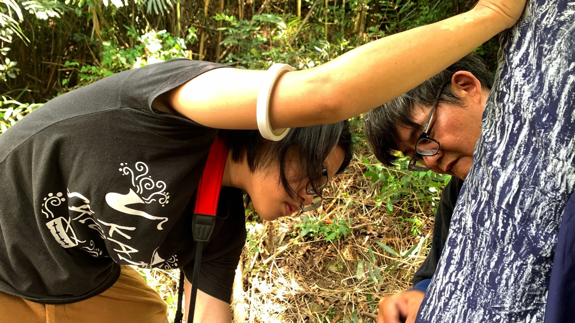 自2023年起，龍神山水祭主視覺取材來自樹王伯公的小樹王拓繪紋路紋路，拓繪前也會協助移除影響小樹王生長的藤蔓與雜樹，並紀錄祂的胸徑。