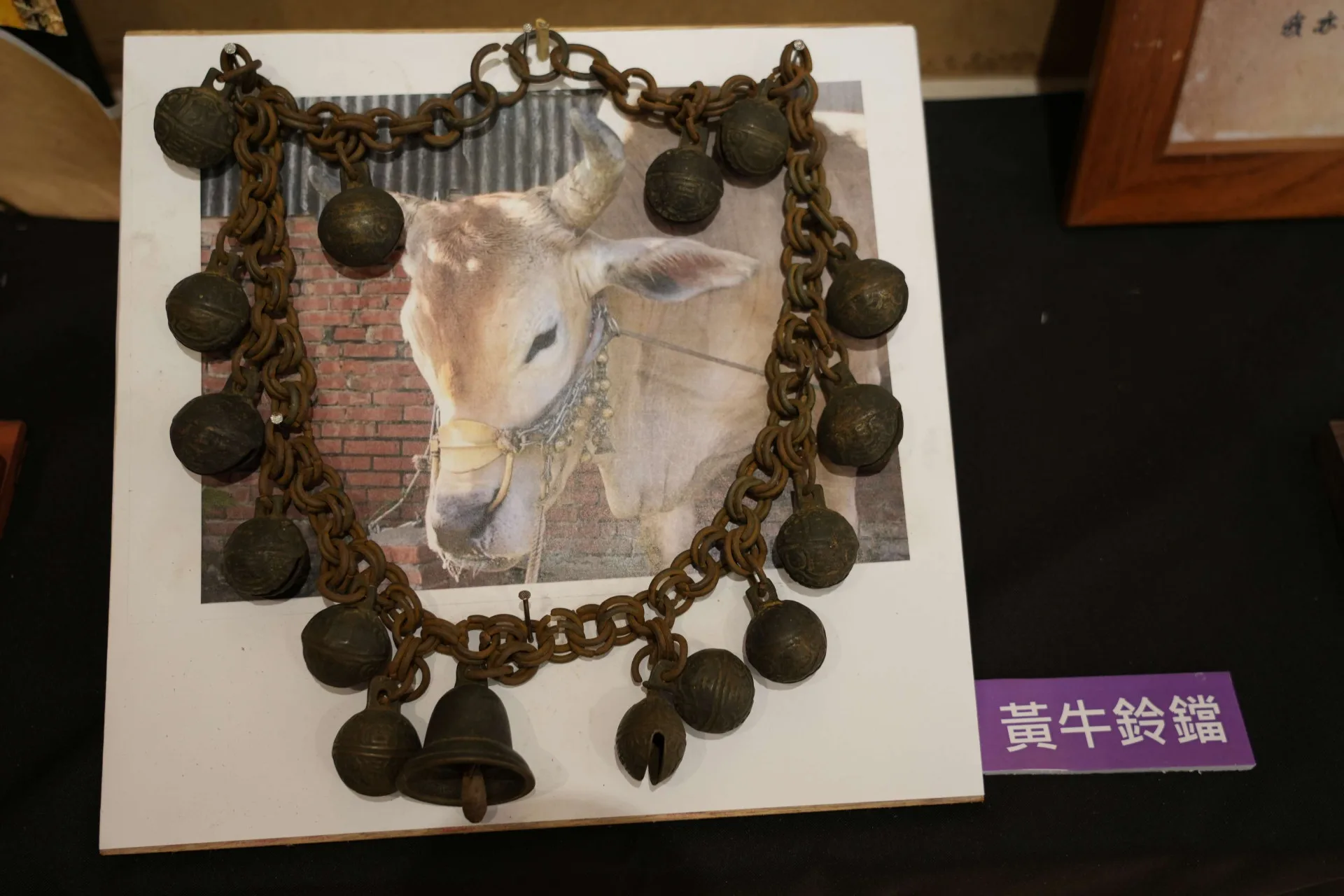 展出文物─黃牛鈴鐺。雲林縣政府提供