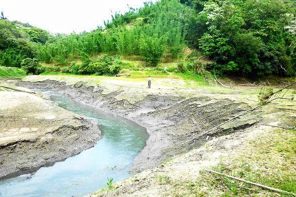 寶山第一水庫雖是離槽水庫，但進水口在枯水期也是淤積的非常嚴重。陳權欣攝