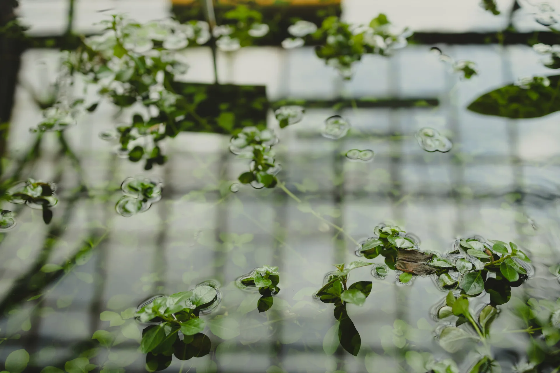 竹北一間幼兒園附設托嬰中心傳出女嬰溺斃事件。示意圖