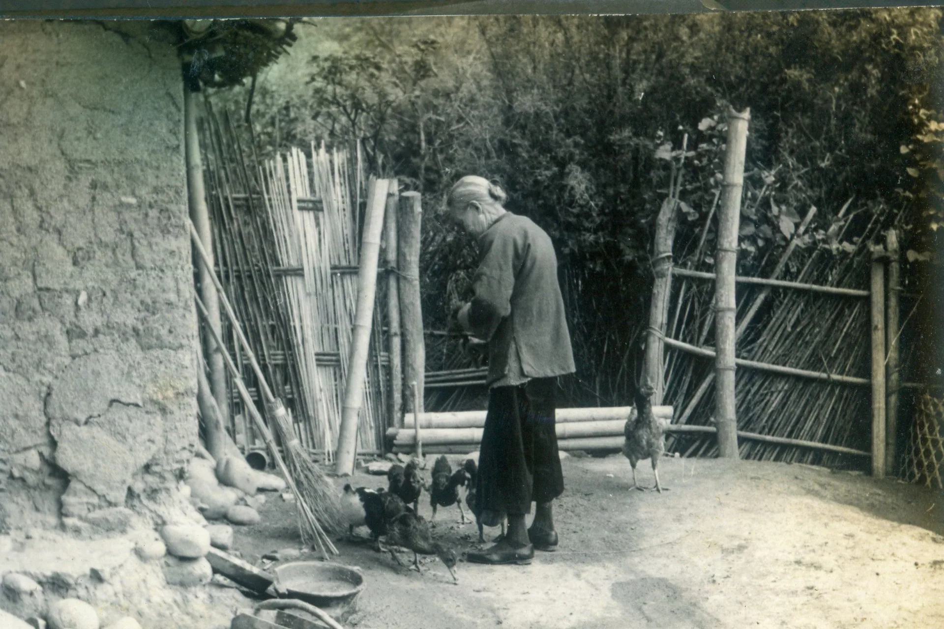 1960年代陳林未妹老太太在鴨母坑劍門坑餵雞的身影。陳梅岡提供