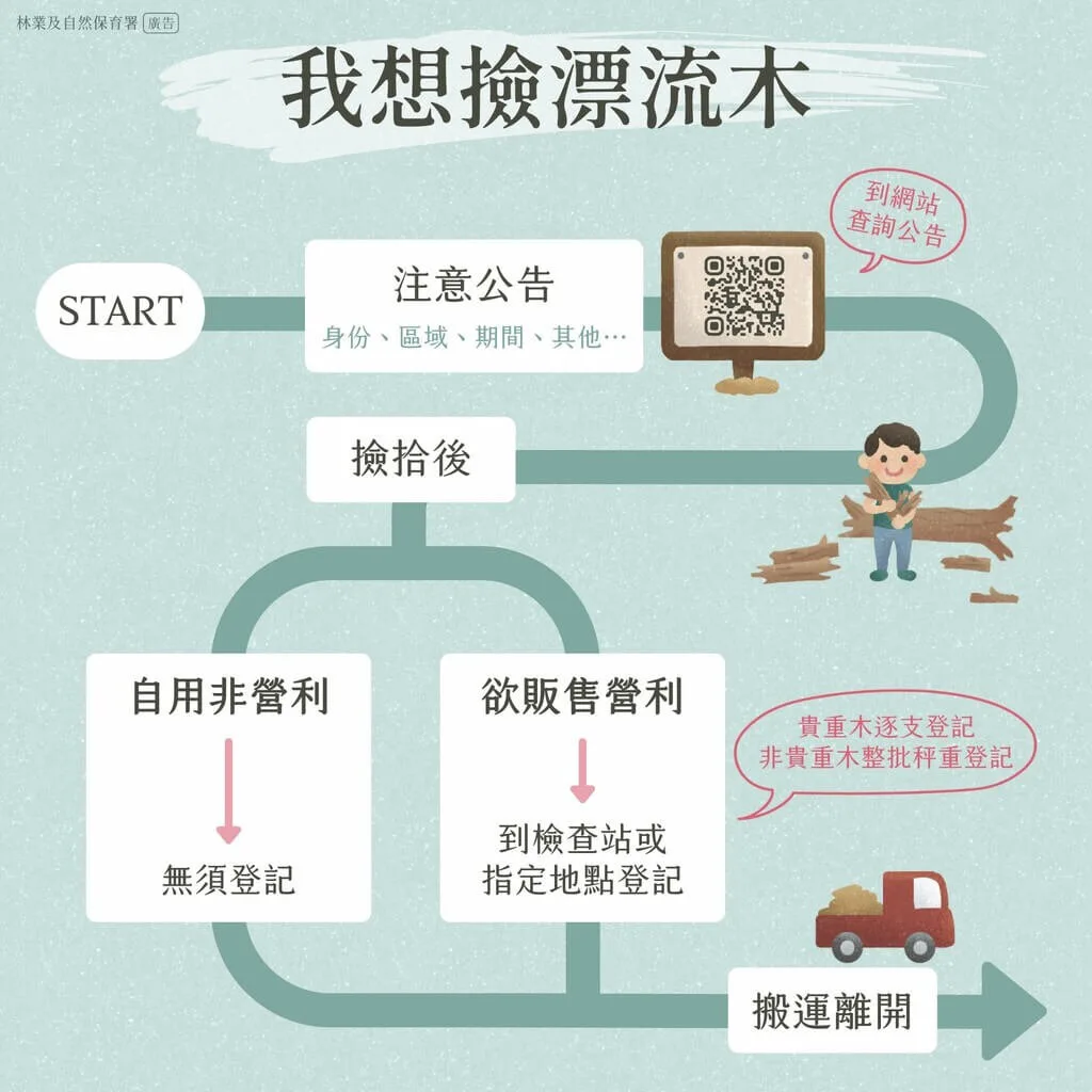 颱風樺加沙在台東山區降下豪大雨將倒木、枯樹帶到海邊和溪流,林保署台東分署公告22日起開放民眾撿拾漂流木。林保署台東分署提供