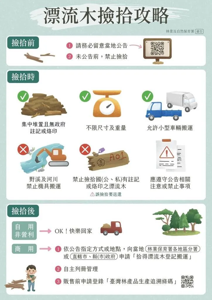 颱風樺加沙在台東山區降下豪大雨將倒木、枯樹帶到海邊和溪流,林保署台東分署公告22日起開放民眾撿拾漂流木。林保署台東分署提供