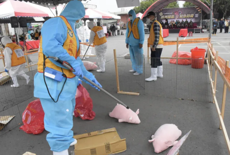 彰化縣環保局22日指出，已要求鄉鎮市公所清潔隊及民間業者，將廚餘送到溪州焚化爐處理，照片為彰化縣府舉辦防非洲豬瘟演習。彰化縣政府提供