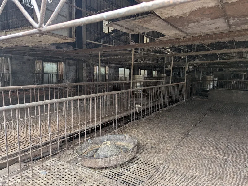 台灣出現首例疑似非洲豬瘟案例，農業部從台中梧棲區一處養豬場死亡豬隻驗到非洲豬瘟陽性反應。中央社