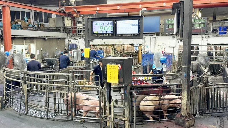 台灣出現首例疑似非洲豬瘟案例,全國豬隻禁運禁宰5天。雲林縣肉品市場22日中午前有2080頭豬隻進場,因市場恐慌和不確定性,拍賣價格2度下滑。中央社