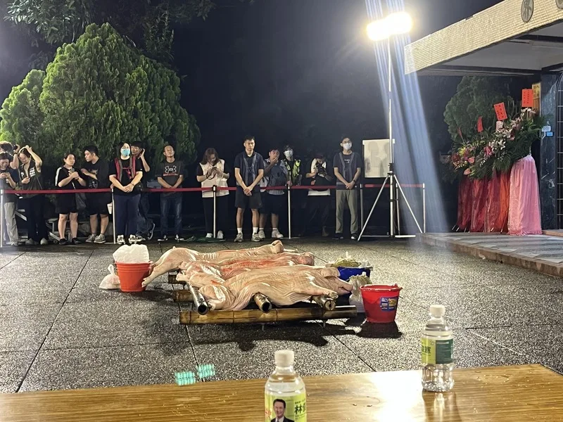 豬隻是台南吉貝耍夜祭的重要祭品，但因非洲豬瘟禁令，24日登場的夜祭，將首次以「米糕豬」取代。資料照，台南市政府提供