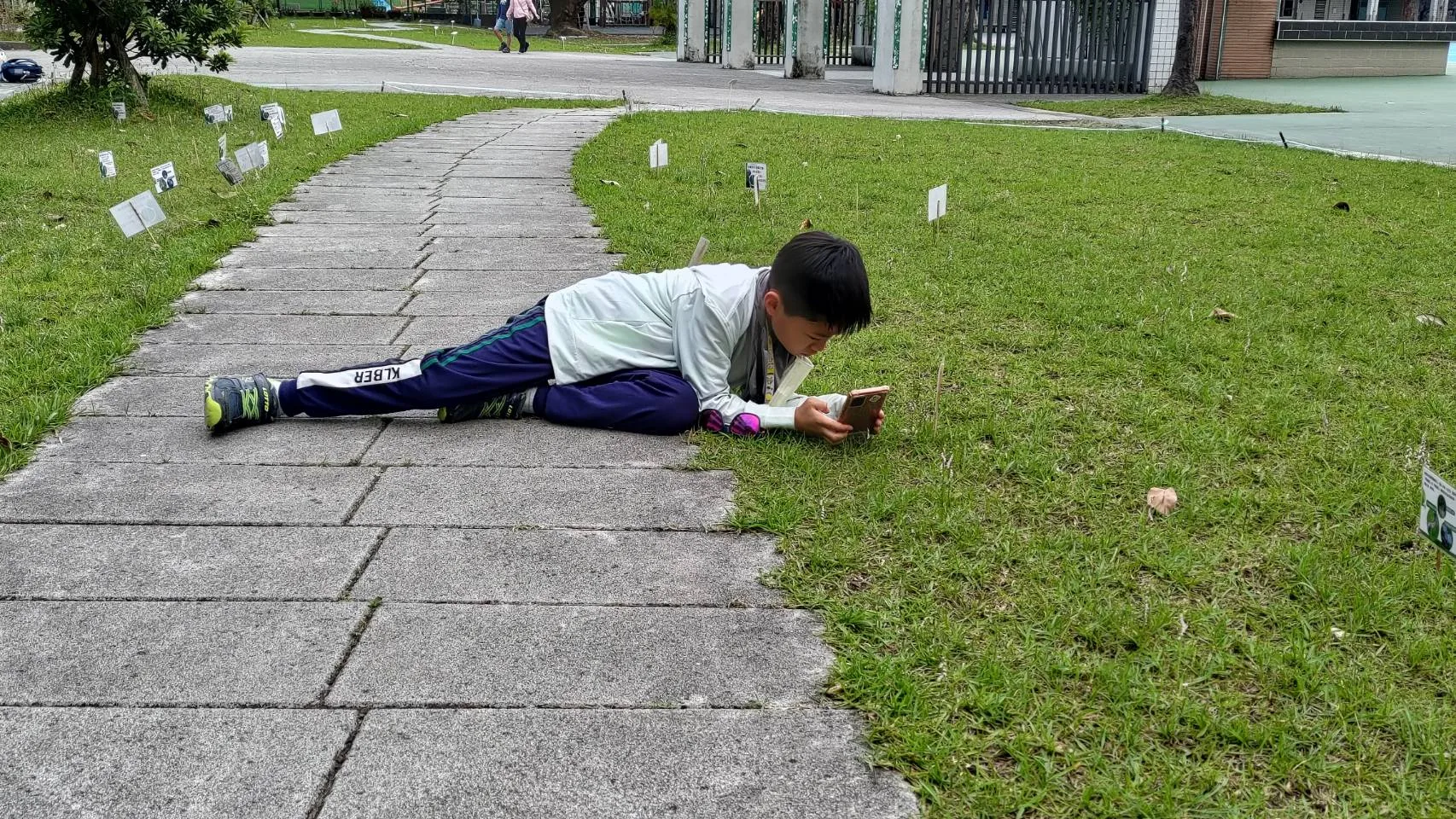 學生放學後用手機仔摎綬草翕相。葉金華提供