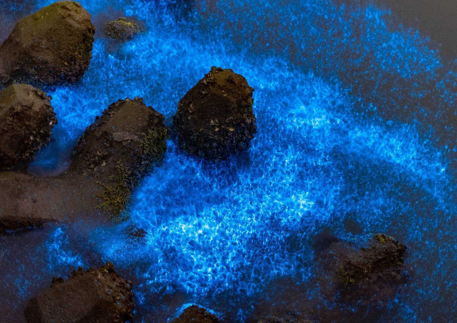 台南市將軍區海面近日出現自然景觀「藍眼淚」,吸引不少遊客前往觀看。圖為2023年將軍漁港附近海面出現的藍眼淚景觀。台南市政府提供