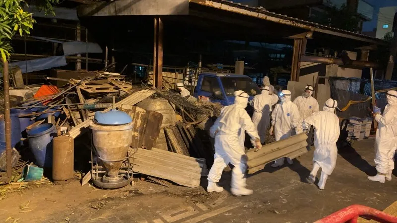 台中養豬場爆發非洲豬瘟,案例場2度採檢仍檢出陽性。國防部士兵30日晚間攜手台中市動保處人員漏夜清理、消毒。台中市政府提供