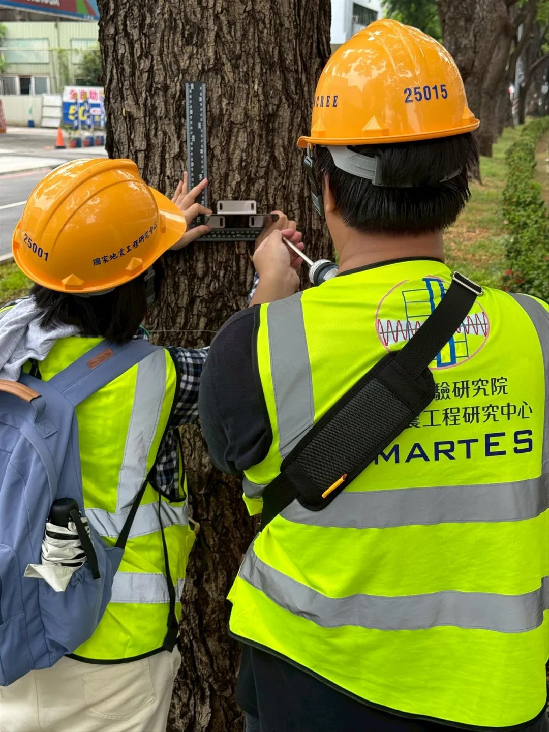 安裝傾斜儀時,採以不影響樹木生長工法施作。高捷提供