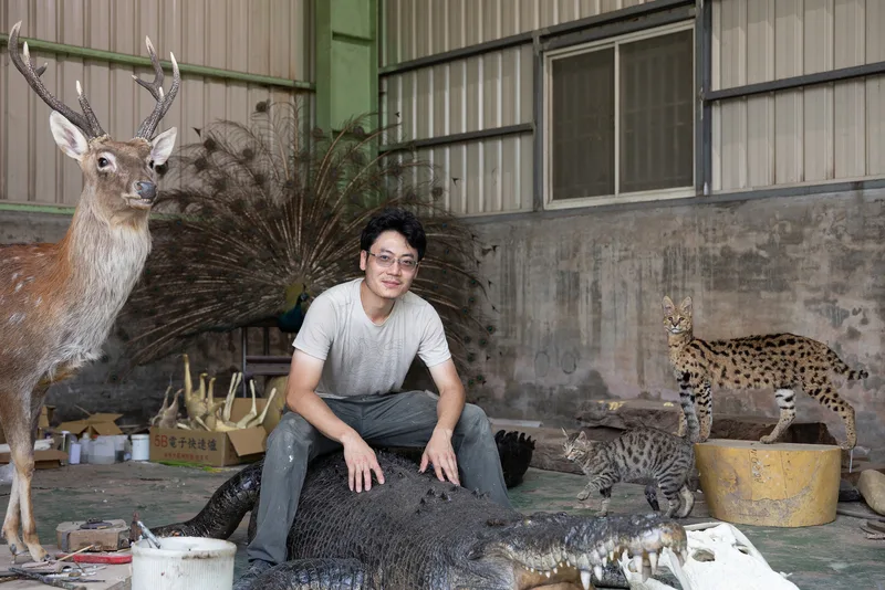 標本製作留住靈光　文總「匠人魂」揭標本師職業面紗