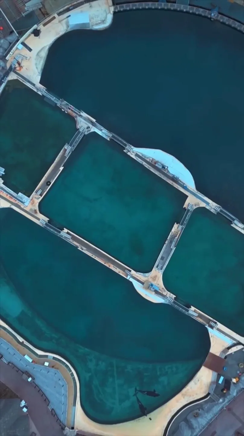 園區設施荒廢,自今年1月關閉以來缺乏維護。翻攝自sephlawless IG