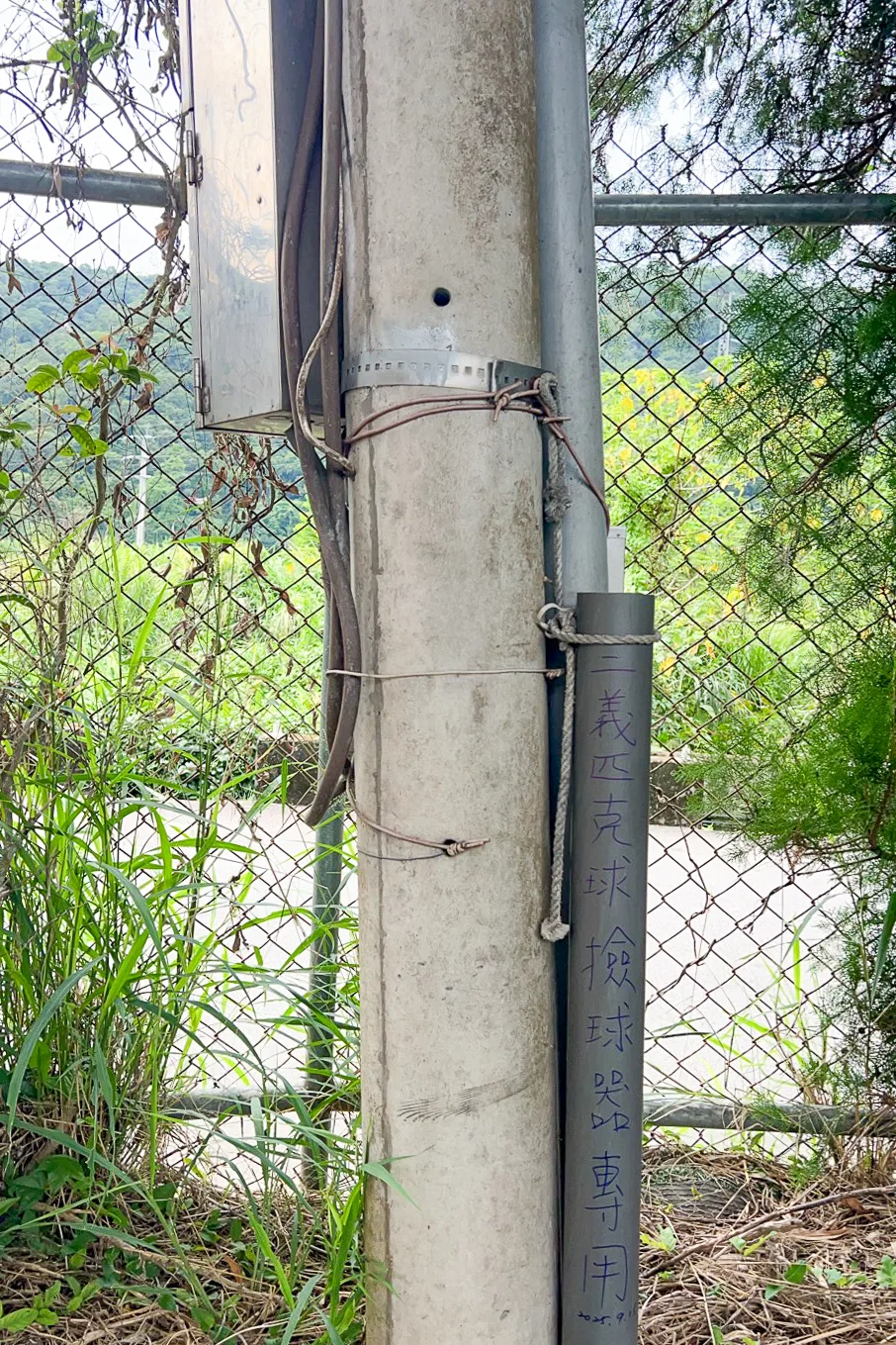 拈球筒偎近電火楯。三義球友