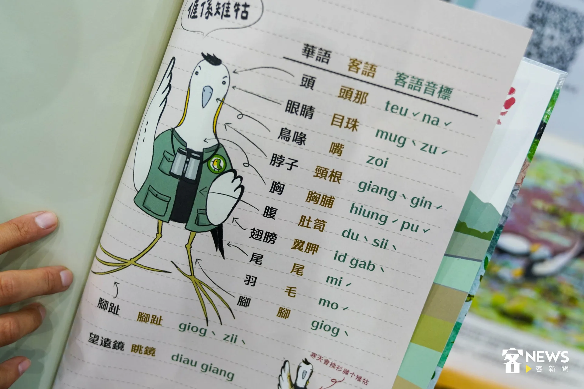 繪本《美濃山下个雉牯》帶領讀者認識水雉相關的客語說法。范修語攝