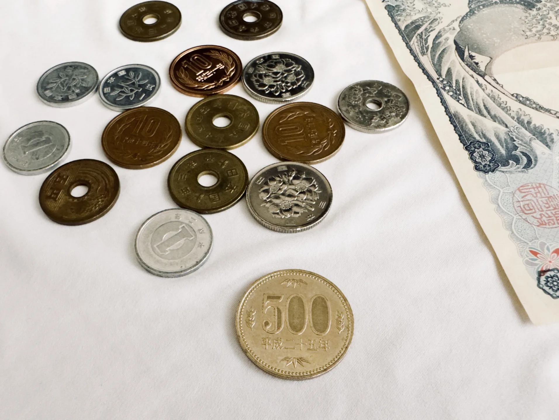 日幣500元上的兩棵樹即為立花橘。蕭秀琴攝